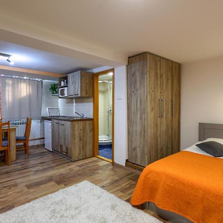 Vila Aleksandra Zlatibor Extérieur photo