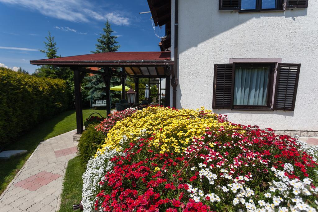 Vila Aleksandra Zlatibor Extérieur photo
